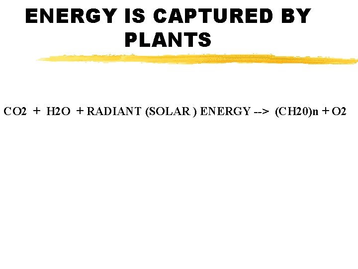 ENERGY IS CAPTURED BY PLANTS CO 2 + H 2 O + RADIANT (SOLAR