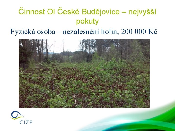 Činnost OI České Budějovice – nejvyšší pokuty Fyzická osoba – nezalesnění holin, 200 000