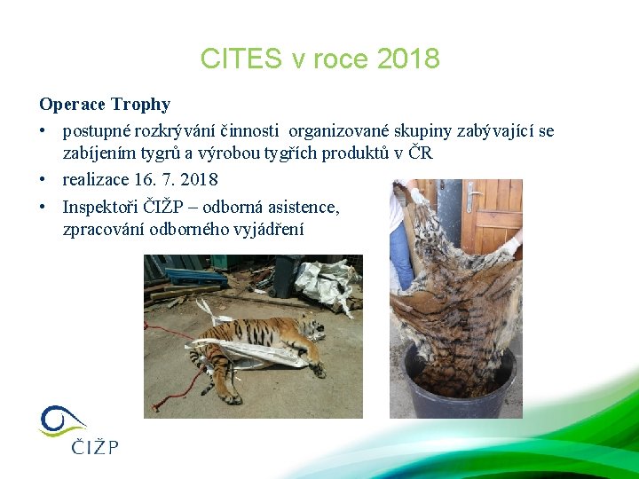 CITES v roce 2018 Operace Trophy • postupné rozkrývání činnosti organizované skupiny zabývající se