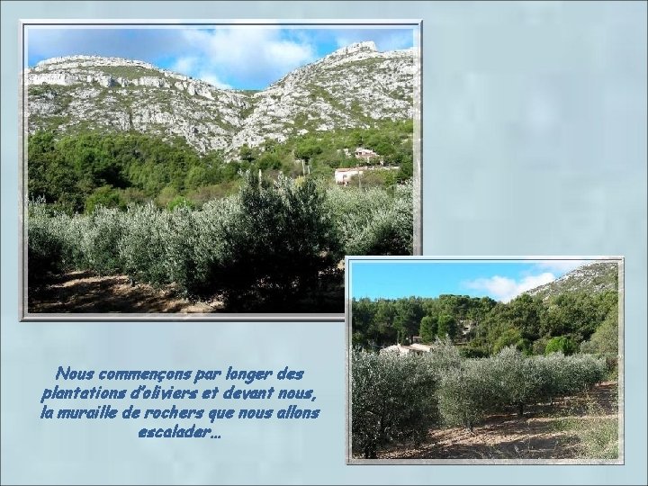 Nous commençons par longer des plantations d’oliviers et devant nous, la muraille de rochers