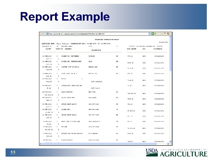 Report Example 55 