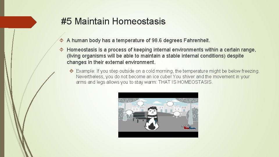 #5 Maintain Homeostasis A human body has a temperature of 98. 6 degrees Fahrenheit.