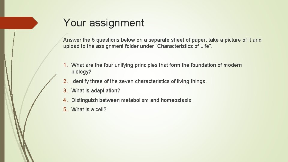 Your assignment Answer the 5 questions below on a separate sheet of paper, take