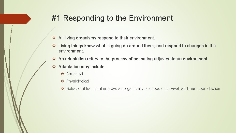 #1 Responding to the Environment All living organisms respond to their environment. Living things
