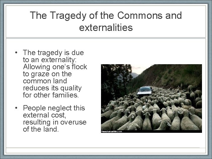 The Tragedy of the Commons and externalities • The tragedy is due to an