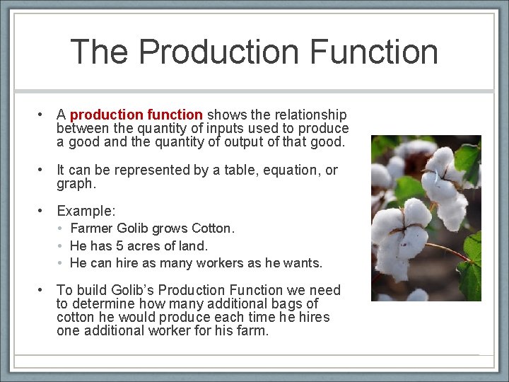 The Production Function • A production function shows the relationship between the quantity of