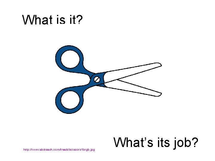 What is it? http: //www. abcteach. com/free/s/scissors 1 brgb. jpg What’s its job? 