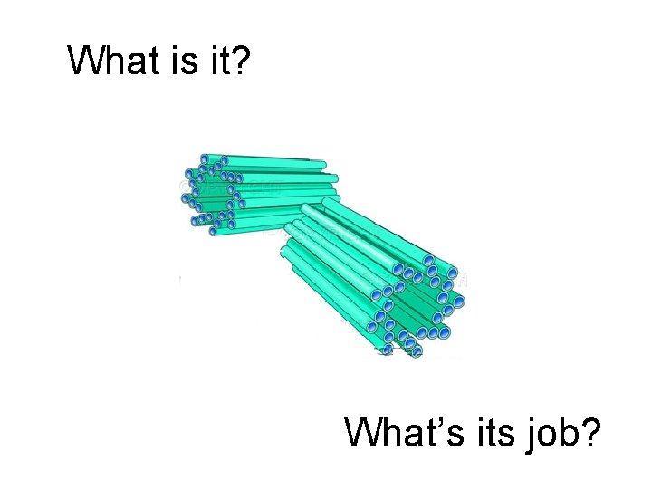 What is it? What’s its job? 
