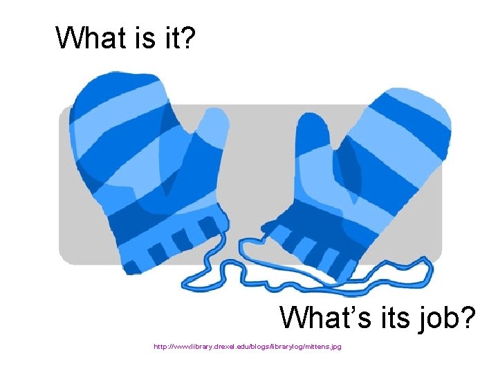 What is it? What’s its job? http: //www. library. drexel. edu/blogs/librarylog/mittens. jpg 