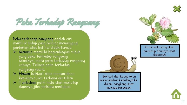 Peka Terhadap Rangsang Peka terhadap rangsang adalah ciri makhluk hidup yang berupa menanggapi perbahan