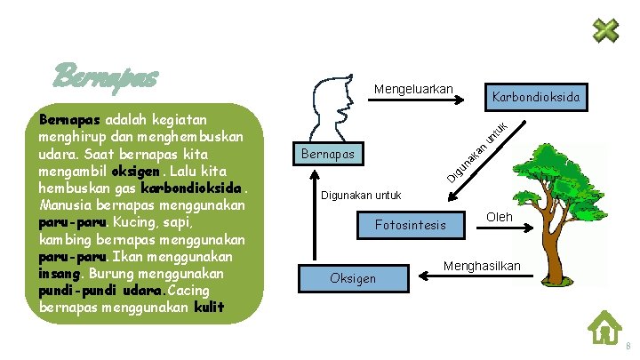 Bernapas un tu k Karbondioksida ig un ak a n Bernapas D Bernapas adalah