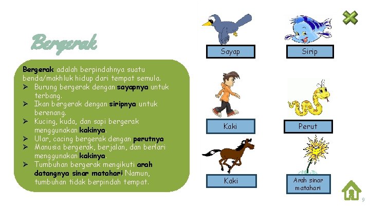 Bergerak adalah berpindahnya suatu benda/makhluk hidup dari tempat semula. Ø Burung bergerak dengan sayapnya