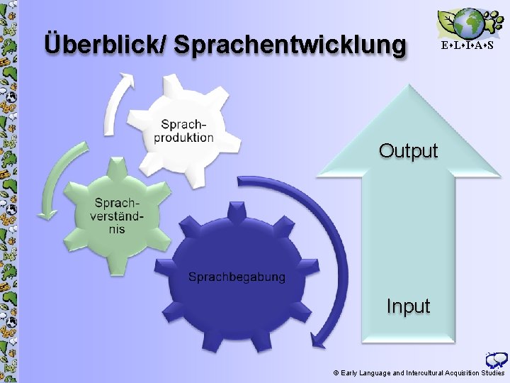 Überblick/ Sprachentwicklung E L I A S Output Input © Early Language and Intercultural