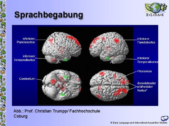 Sprachbegabung E L I A S 4 Abb. : Prof. Christian Trumpp/ Fachhochschule Coburg