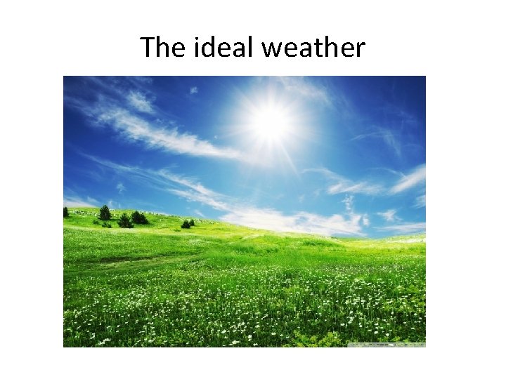 The ideal weather 