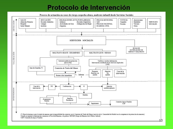 Protocolo de Intervención 13 