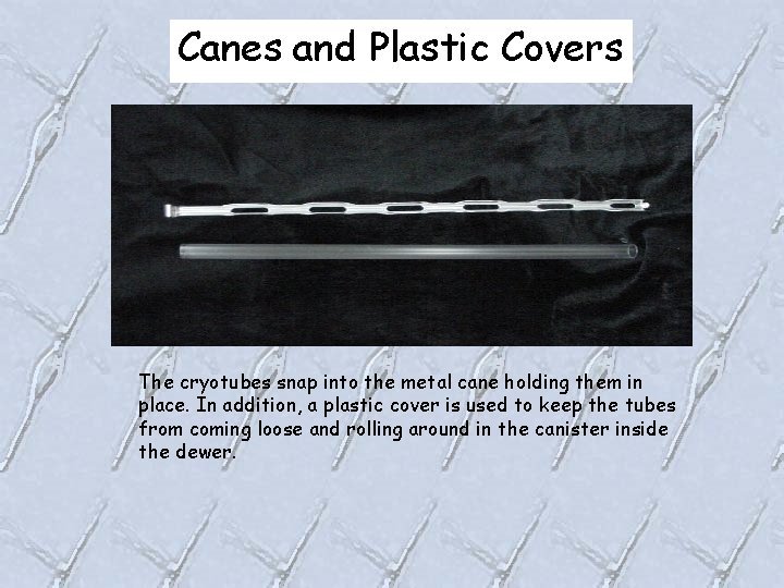 Canes and Plastic Covers The cryotubes snap into the metal cane holding them in