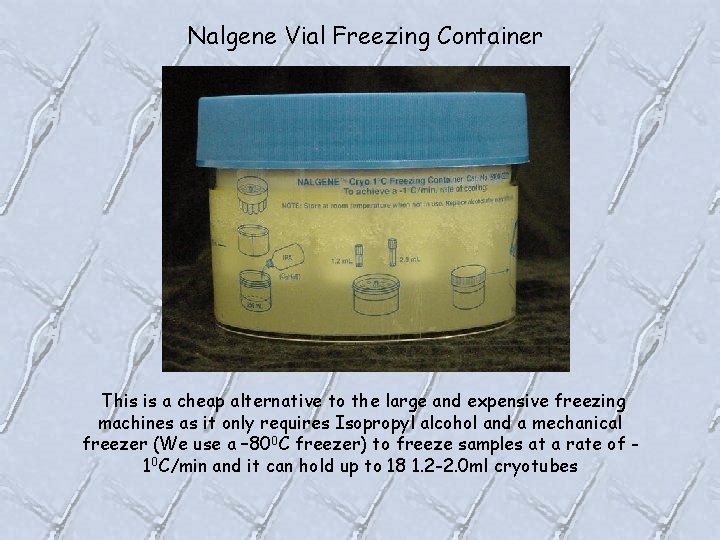Nalgene Vial Freezing Container This is a cheap alternative to the large and expensive