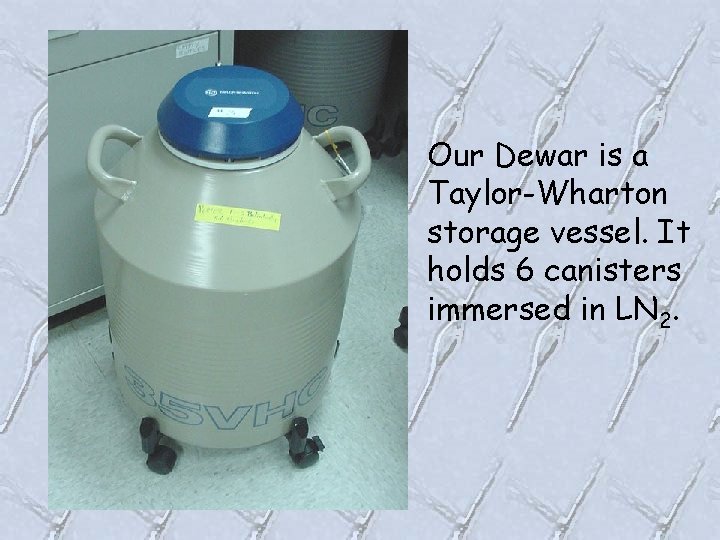 Our Dewar is a Taylor-Wharton storage vessel. It holds 6 canisters immersed in LN