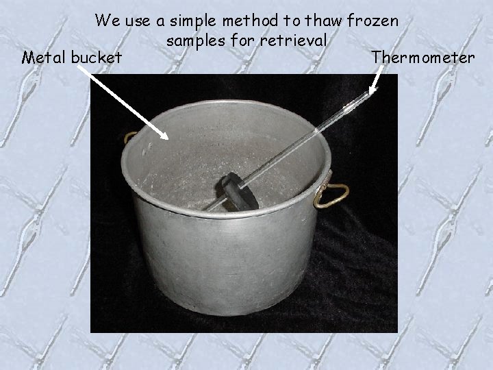 We use a simple method to thaw frozen samples for retrieval Metal bucket Thermometer