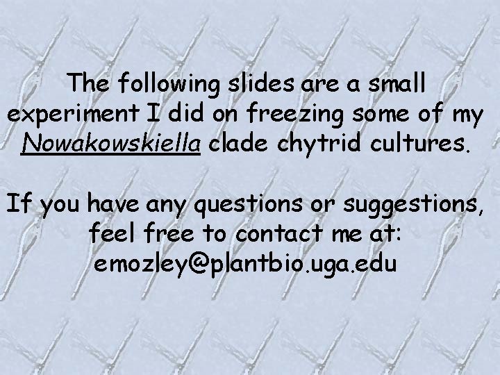 The following slides are a small experiment I did on freezing some of my