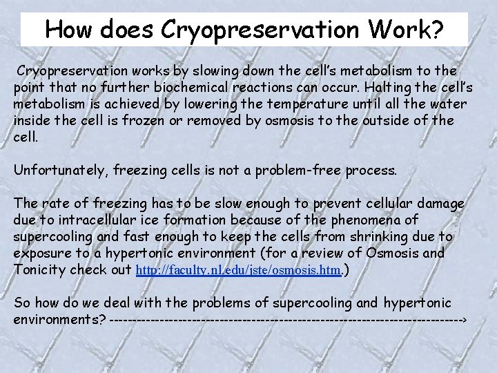 How does Cryopreservation Work? Cryopreservation works by slowing down the cell’s metabolism to the