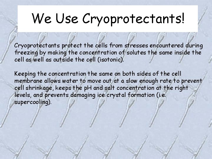 We Use Cryoprotectants! Cryoprotectants protect the cells from stresses encountered during freezing by making