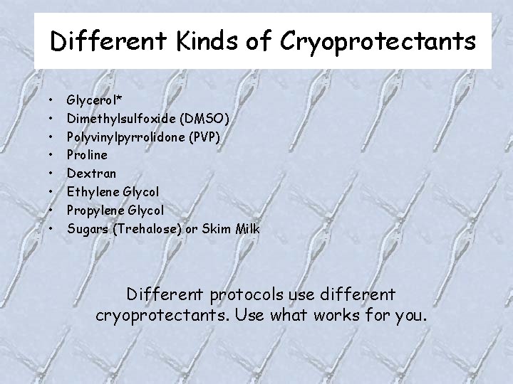 Different Kinds of Cryoprotectants • • Glycerol* Dimethylsulfoxide (DMSO) Polyvinylpyrrolidone (PVP) Proline Dextran Ethylene