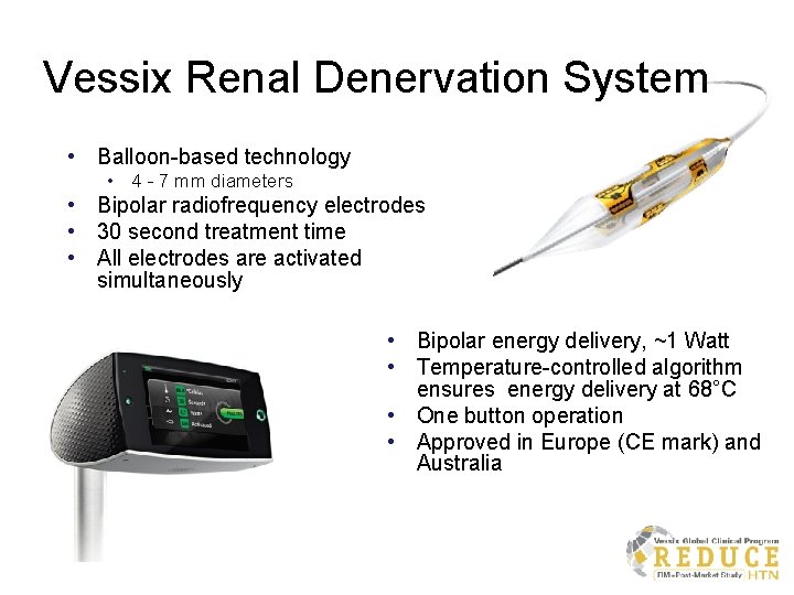 Vessix Renal Denervation System • Balloon-based technology • 4 - 7 mm diameters •