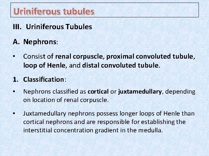 Uriniferous tubules III. Uriniferous Tubules A. Nephrons: • Consist of renal corpuscle, proximal convoluted