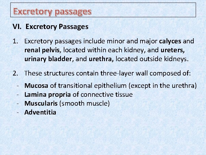 Excretory passages VI. Excretory Passages 1. Excretory passages include minor and major calyces and