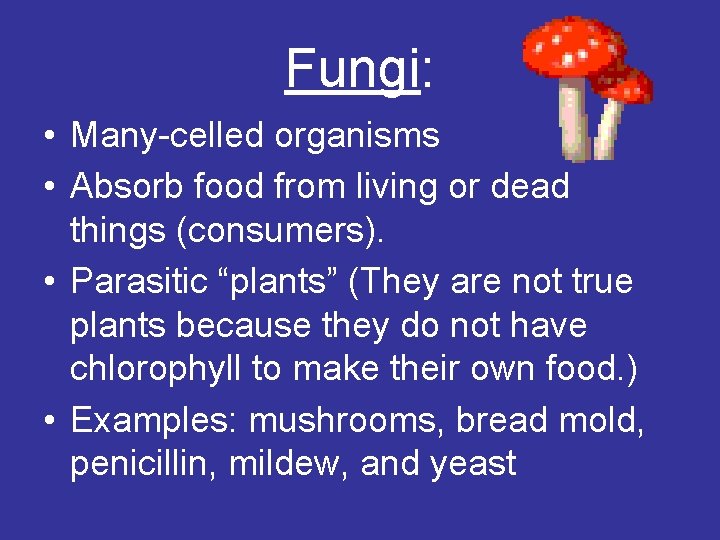 Fungi: • Many-celled organisms • Absorb food from living or dead things (consumers). •
