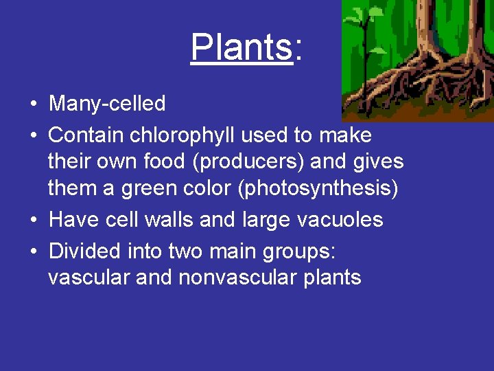 Plants: • Many-celled • Contain chlorophyll used to make their own food (producers) and