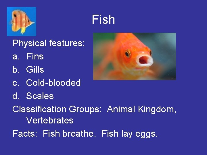 Fish Physical features: a. Fins b. Gills c. Cold-blooded d. Scales Classification Groups: Animal