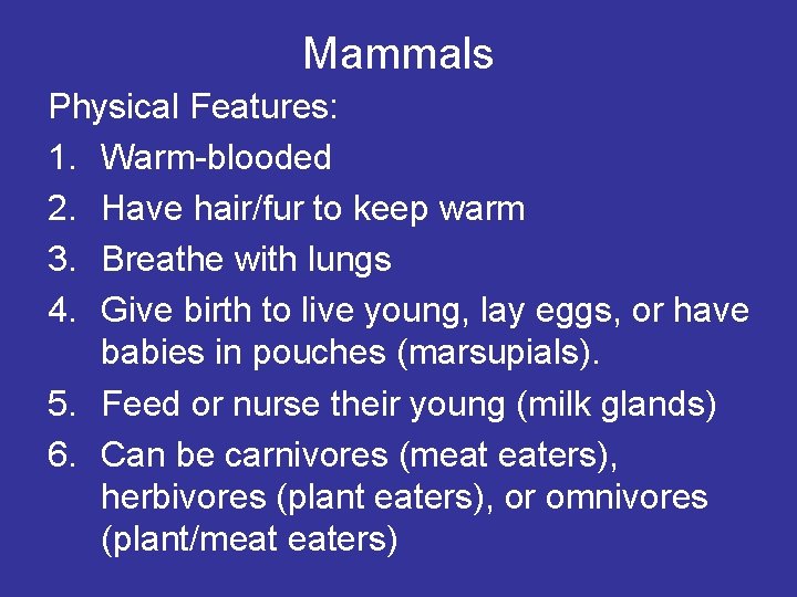 Mammals Physical Features: 1. Warm-blooded 2. Have hair/fur to keep warm 3. Breathe with