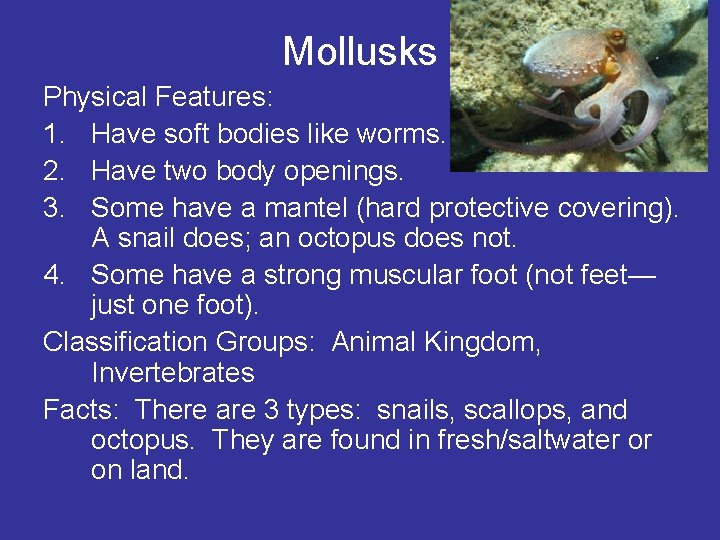 Mollusks Physical Features: 1. Have soft bodies like worms. 2. Have two body openings.