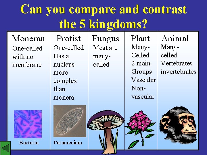 Can you compare and contrast the 5 kingdoms? Moneran Protist Fungus One-celled with no