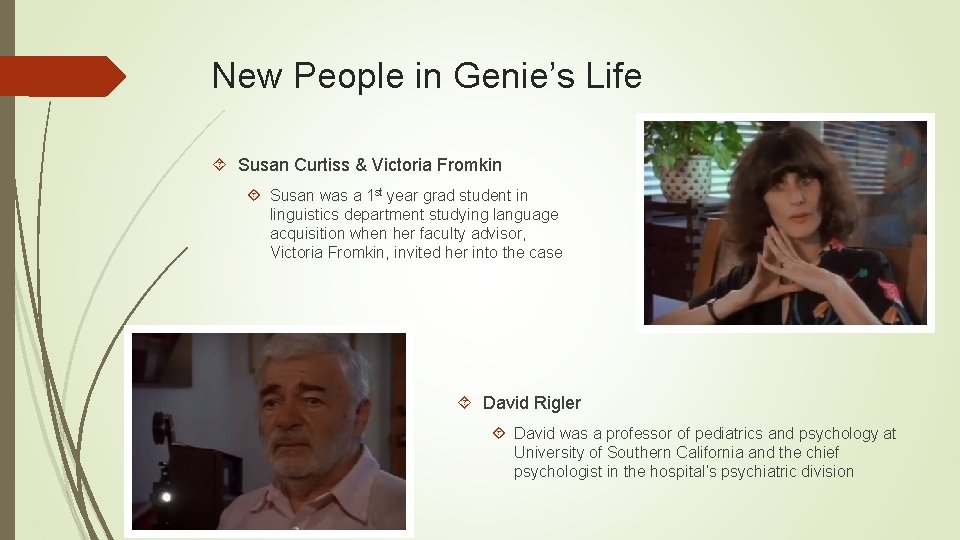 New People in Genie’s Life Susan Curtiss & Victoria Fromkin Susan was a 1