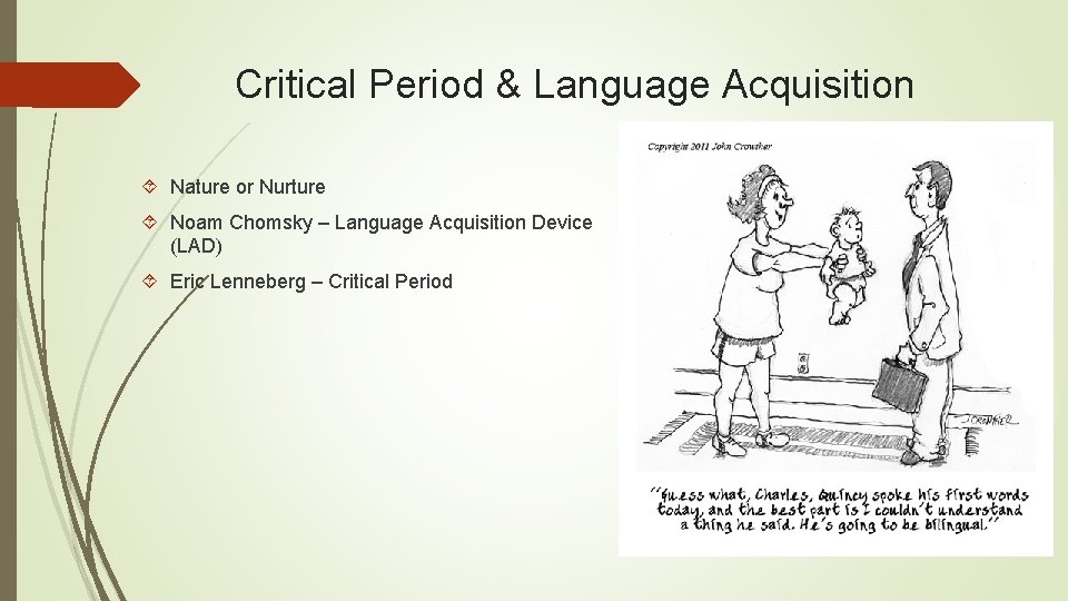 Critical Period & Language Acquisition Nature or Nurture Noam Chomsky – Language Acquisition Device