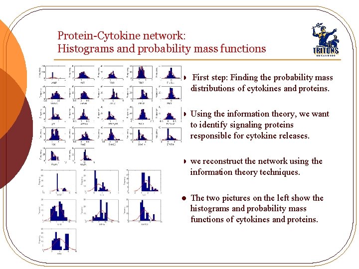 Protein-Cytokine network: Histograms and probability mass functions l First step: Finding the probability mass