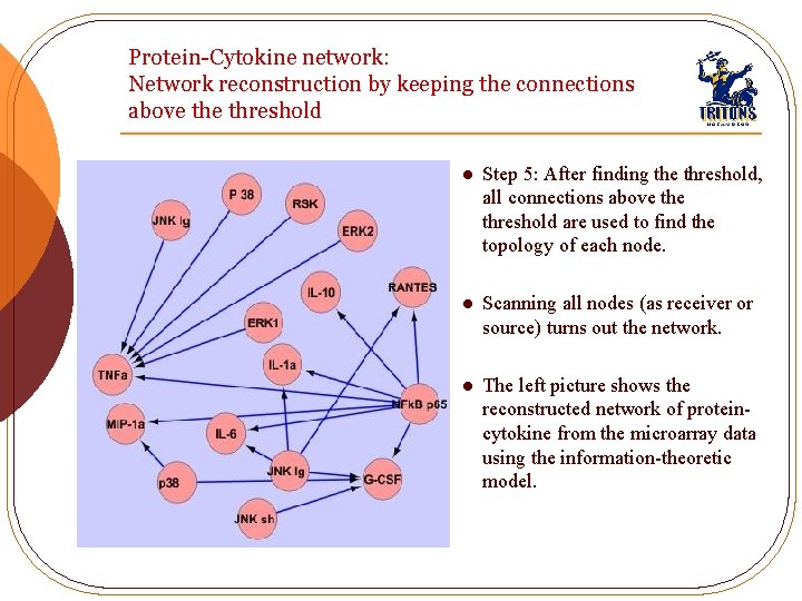 Protein-Cytokine network: Network reconstruction by keeping the connections above threshold l Step 5: After