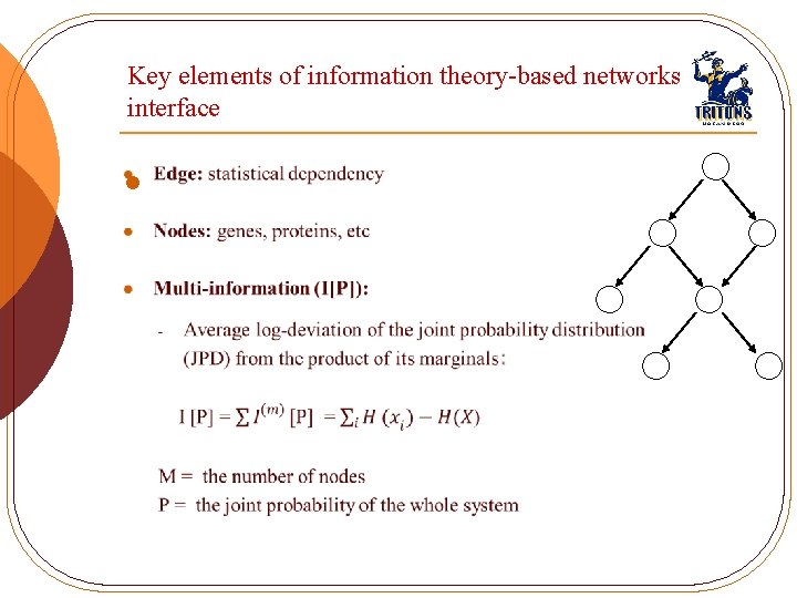 Key elements of information theory-based networks interface l 