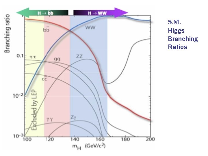 S. M. Higgs Branching Ratios 