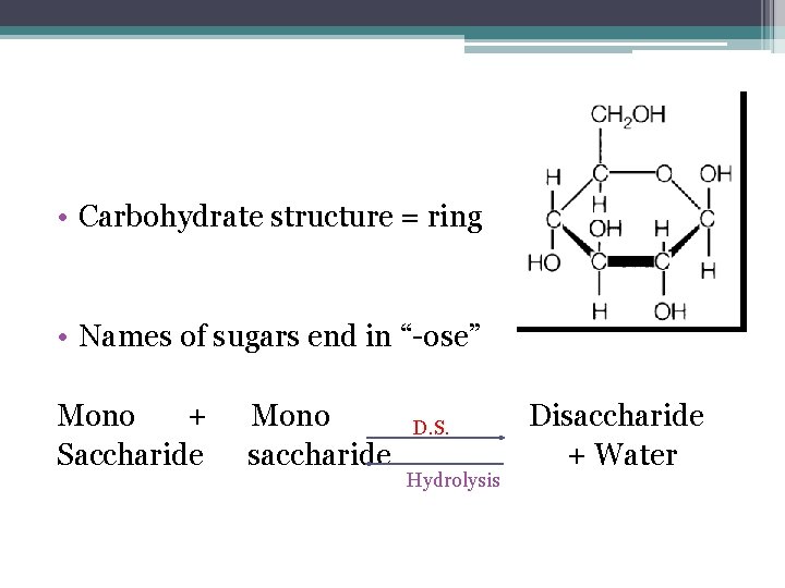  • Carbohydrate structure = ring • Names of sugars end in “-ose” Mono