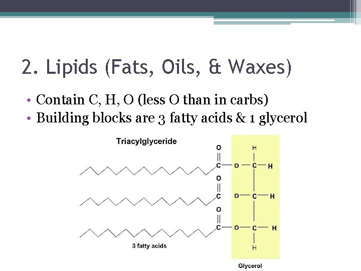 2. Lipids (Fats, Oils, & Waxes) • Contain C, H, O (less O than