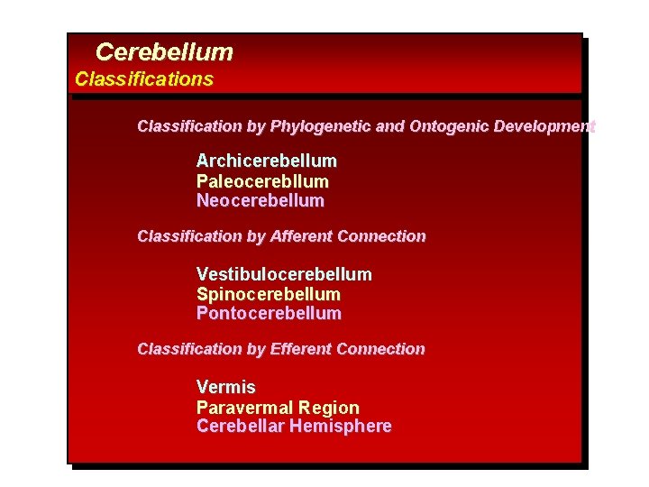 Cerebellum Classifications Classification by Phylogenetic and Ontogenic Development Archicerebellum Paleocerebllum Neocerebellum Classification by Afferent