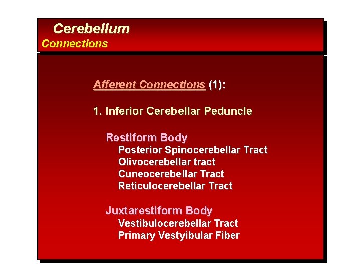 Cerebellum Connections Afferent Connections (1): 1. Inferior Cerebellar Peduncle Restiform Body Posterior Spinocerebellar Tract