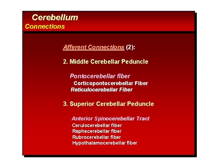 Cerebellum Connections Afferent Connections (2): 2. Middle Cerebellar Peduncle Pontocerebellar fiber Corticopontocerebellar Fiber Reticulocerebellar