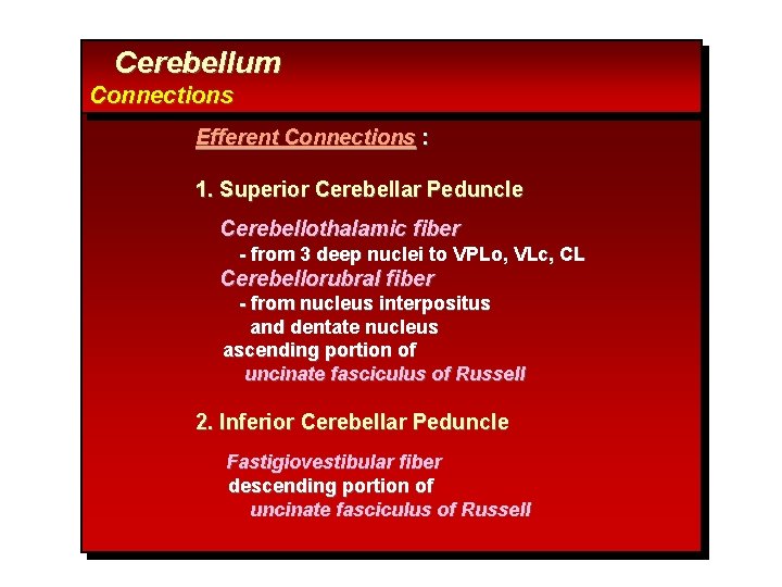 Cerebellum Connections Efferent Connections : 1. Superior Cerebellar Peduncle Cerebellothalamic fiber - from 3
