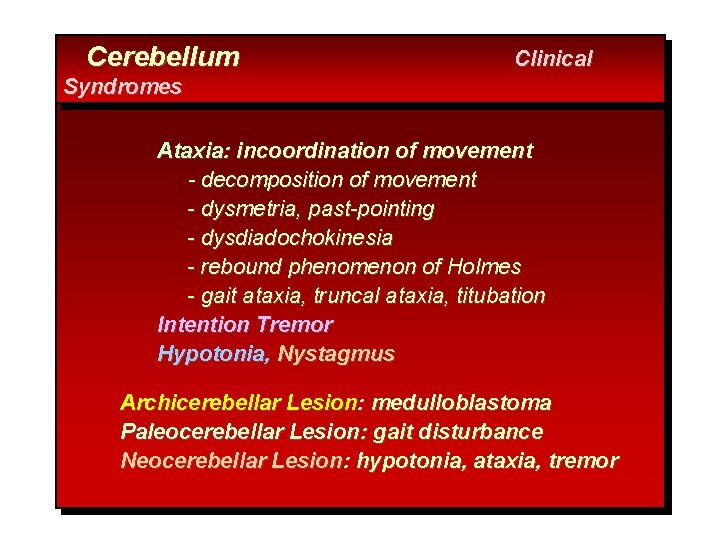 Cerebellum Clinical Syndromes Ataxia: incoordination of movement - decomposition of movement - dysmetria, past-pointing